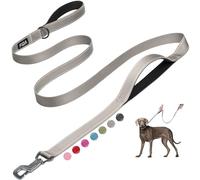 Fida Laisse rembourrée pour chien avec 2 poignées, 1,8 m de long, laisse pour chien en nylon pour un contrôle de la sécurité et une promenade nocturne facile, laisse double poignée robuste pour chiens
