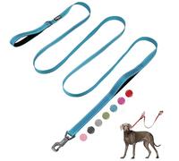 Fida Laisse robuste de 3 m pour chien avec 2 poignées rembourrées confortables, poignée de signalisation et crochet facile avancé, laisse réfléchissante pour chiens de petite, moyenne et grande taille