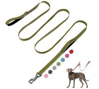 Fida Laisse robuste de 3 m pour chien avec 2 poignées rembourrées confortables, poignée de signalisation et crochet facile avancé, laisse de marche réfléchissante pour chiens de petite, moyenne et