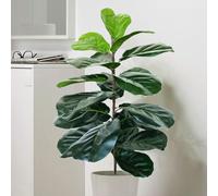 Fiddle Leaf arbre arbre Faux Ficus Lyrata Grenery pour la cour domicile et dcoration intrieure et extrieure (branche verte -1 (28 pouces))