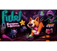 Fidel Dungeon Rescue (PC)