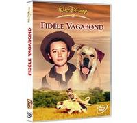 Fidèle vagabond E