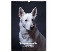 Fidèles compagnons de route, portraits de chiens., Version française (Calendrier mural 2026 DIN A3 portrait), Calendrier CALVENDO mensuel