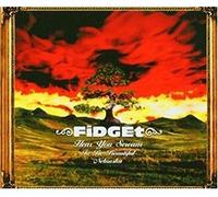 Fidget - Hear You Scream [Import]