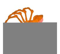 Fidget Jouet anti-stress en forme d'araignée Imprimé en 3D - Jouets anti-stress avec articulations mobiles imprimées en 3D | Jouets de bureau exécutifs pour adultes Jouets d'écrit