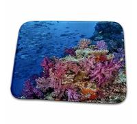 Fidji. Récif Corallien Et Récifs De Vivaneaux Noirs Paillasson D'Entree Antidérapant Paillasson Intérieur Absorbant Tapis De Bain pour Baignoire Salon Extérieur 40X60 Cm