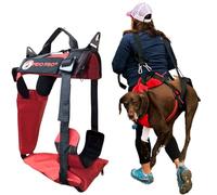 Fido Pro Panza Harnais V2 avec Élingue de Secours pour Chien - Harnais Moyen à Très Grand avec Poches, Boucles d’Escalade et Poignée - Équipement Randonnée - 14 à 68 kg (Rouge)