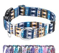 Fidohug Collier martingale réfléchissant avec boucle requin, étoile de mer, rayures ethniques, collier réglable pour chien (monde sous-marin, taille XS)