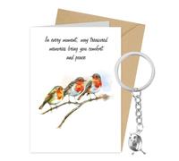 FIDWALL Carte de condoléances et porte-clés en forme de rouge-gorge, souvenir pour la perte de vos proches, cadeau de souvenir avec citation touchante (enveloppe incluse), Trois rouges-gorges, taille