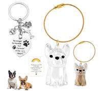 FIDWALL Porte-clés souvenir en fourrure de chien, porte-clés souvenir en forme de chien, porte-clés souvenir en fourrure de chat et chien, souvenir transparent pour chat et chien, porte-clés souvenir