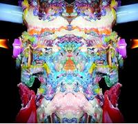 Fieber,das - Das Fieber