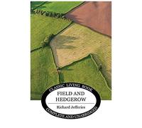 Field And Hedgerow