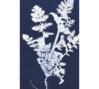 Field Book Bix: Floral Cyanotype Field Notebook