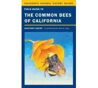 Field Guide To The Common Bees Of California