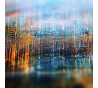 Field Lines Cartographer - Resplendent in Light of The Universe [Import]