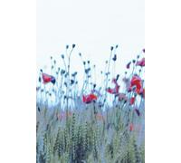 Field of Flowers - Journal