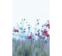 Field of Flowers - Journal