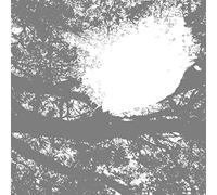 Field Recordings from the Sun