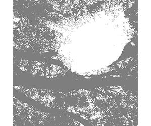 Field Recordings from the Sun
