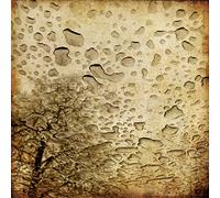 Field Rotation - Regenzeit