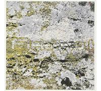 Field Work [Import allemand]