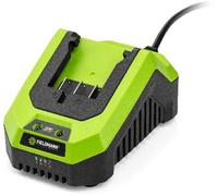 Fieldmann Accessories - FDUZ 79100 Chargeur rapide 20V 50004602