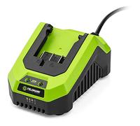 Chargeur - FIELDMANN - Pour batterie 20V - Charge 2Ah en 60 min - Compatible 2Ah, 4Ah