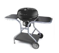 Fieldmann FZG 1014 Grill Charbon de bois (combustible) Noir, Acier inoxydable