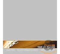 Fieldwork - Your Life Flashes