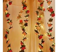 Fielegen Guirlande lumineuse de roses artificielles de 2,5 m avec 30 LED à suspendre pour Saint-Valentin, jardin, décoration de mariage, fête d'anniversaire, décoration murale esthétique