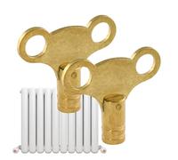 Fierudeng e Purge Pour Radiateur - 2 Pièces En Laiton Fournitures Domestiques | Clés De Vanne Radiateur,Pour De Croisière Résidentiel Commercial Maison Réparation Et Maintenance