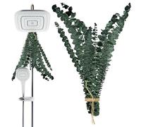 Fierudeng Eucalyptus Séché pour Salle De Bain | Branches d'Eucalyptus Naturelles pour la Douche Décoration 10 Pièces,Composition Décorative pour Salle de Bain Spa Séjour Appartement Salon