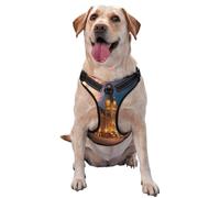 Fiery Red Street Gilet de traction imprimé pour animal domestique Idéal pour promener le chien, randonnée, voyage quotidien