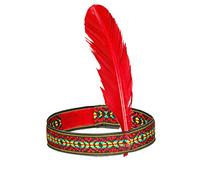 Fiesta Palace - bandeau et 1 plume d'indien new