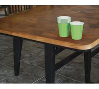 FIESTAS GUIRCA 6 verres jetables (240 ml) (9 cm) - Décoration de table pour fêtes et remises de diplômes - Idéal pour les célébrations d'été et les événements tropicaux - Vert