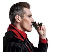 FIESTAS GUIRCA | Blister 3 Chauves-souris Décoratives (9x4 cm) - Décorations d'Halloween pour Fêtes d'Animaux et Insectes - Parfait pour Célébrations et Événements Terrifiants - Noir