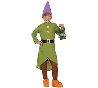 FIESTAS GUIRCA Déguisement de nain de conte de fées pour garçon - Déguisement de gnome de la forêt pour enfant 3-4 ans