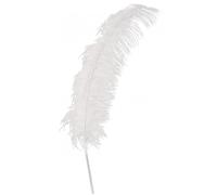 Fiestas Guirca plume d'autruche 50 cm plumes blanches