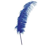 Fiestas Guirca plume d'autruche 50 cm plumes bleues