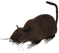 Rat - GUIRCA - Brun - 15 cm - Multicolore - Mixte