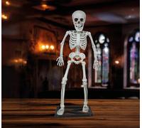 FIESTAS GUIRCA | Squelette Debout avec Crâne (55 cm) - Décoration d'Halloween pour Fêtes de Crânes et Squelettes - Idéal pour Célébrations Terrifiantes et Événements à Thème - Beige
