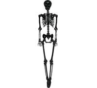 FIESTAS GUIRCA | Squelette Noir (160 cm) - Décoration d'Halloween pour Fêtes et Célébrations - Idéal pour Ambiances Terrifiantes et Thèmes de Crânes et Squelettes - Noir