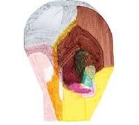 Fièvre Ronan Bouroullec (Auteur)