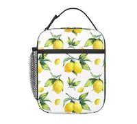 fifbird Sac à déjeuner isotherme portable avec imprimé peau de zèbre - Épais et réutilisable - Pour le travail, le pique-nique, l'école