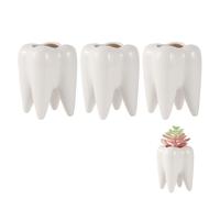 fifibang 3 pcs Pot de succulentes céramique, Blanc Pot de succulentes Pot de Cactus, Mini Pot de Fleurs Pot de Plantes pour Cactus pour Dentiste Cadeaux Table Salon déco