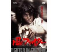 Fighter in the Wind [04/K,J/Dd [Import allemand]