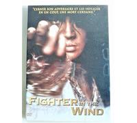 Fighter In The Wind