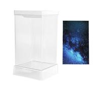 Fighting Fish Aquarium Set - Transparent Mini Aquarium, Pool de Filtre illuminé | Idée décorative d' d' de réservoir de pêche, Piscine compacte avec éclairage pour Le Bureau du Salon a