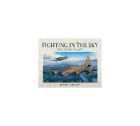 Fighting In The Sky