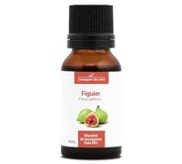 Figuier BIO - 15mL - (Ficus Carica) - Macérat concentré de bourgeons frais